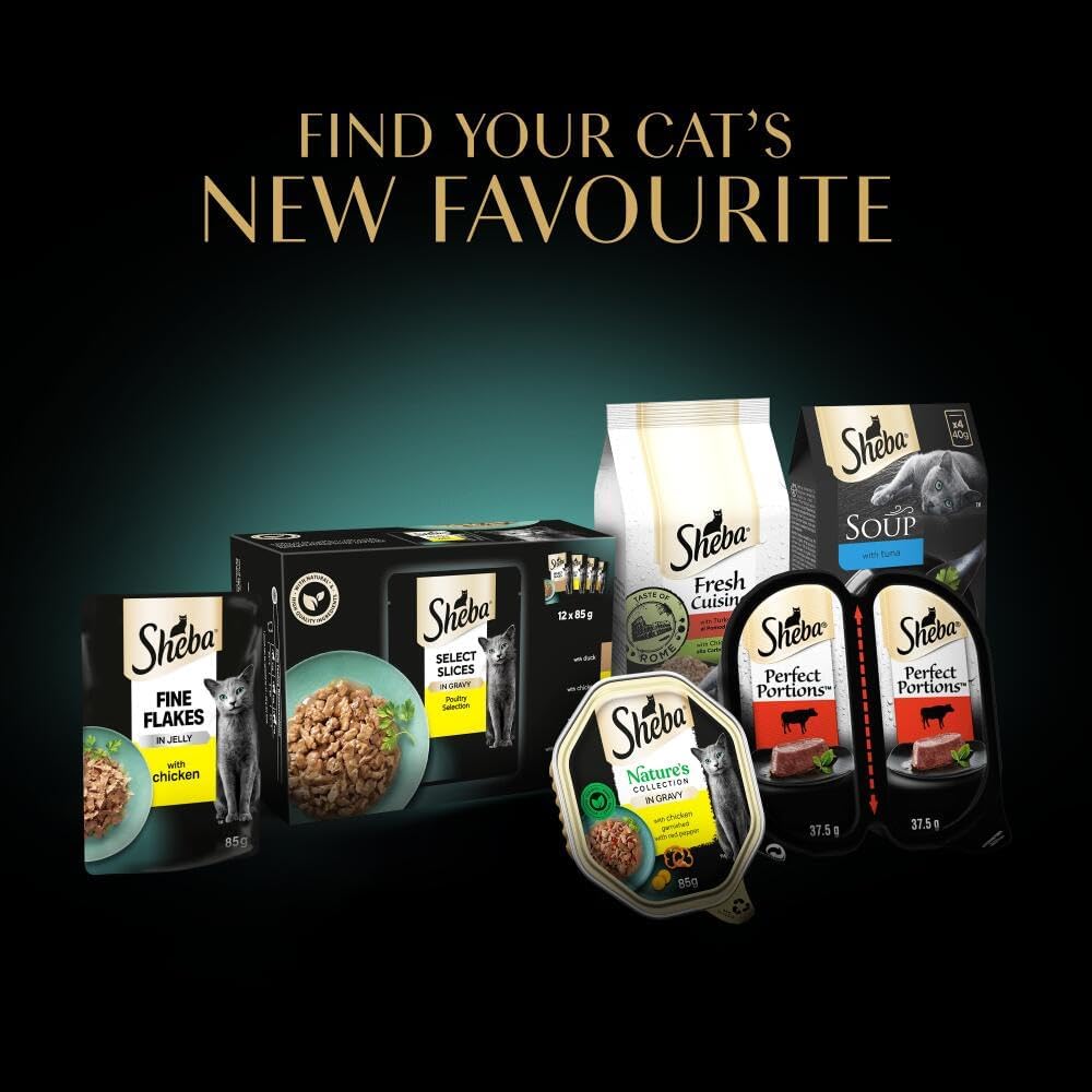 SHEBA - Adult Wet Cat Food Pouches - 40 x 85 g - Fish - Bulk Cat Food Megapack - 40 Jelly Pouches