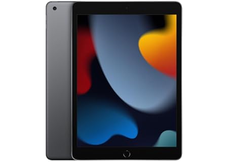 Apple 2 Inch Wi Fi Space Renewed