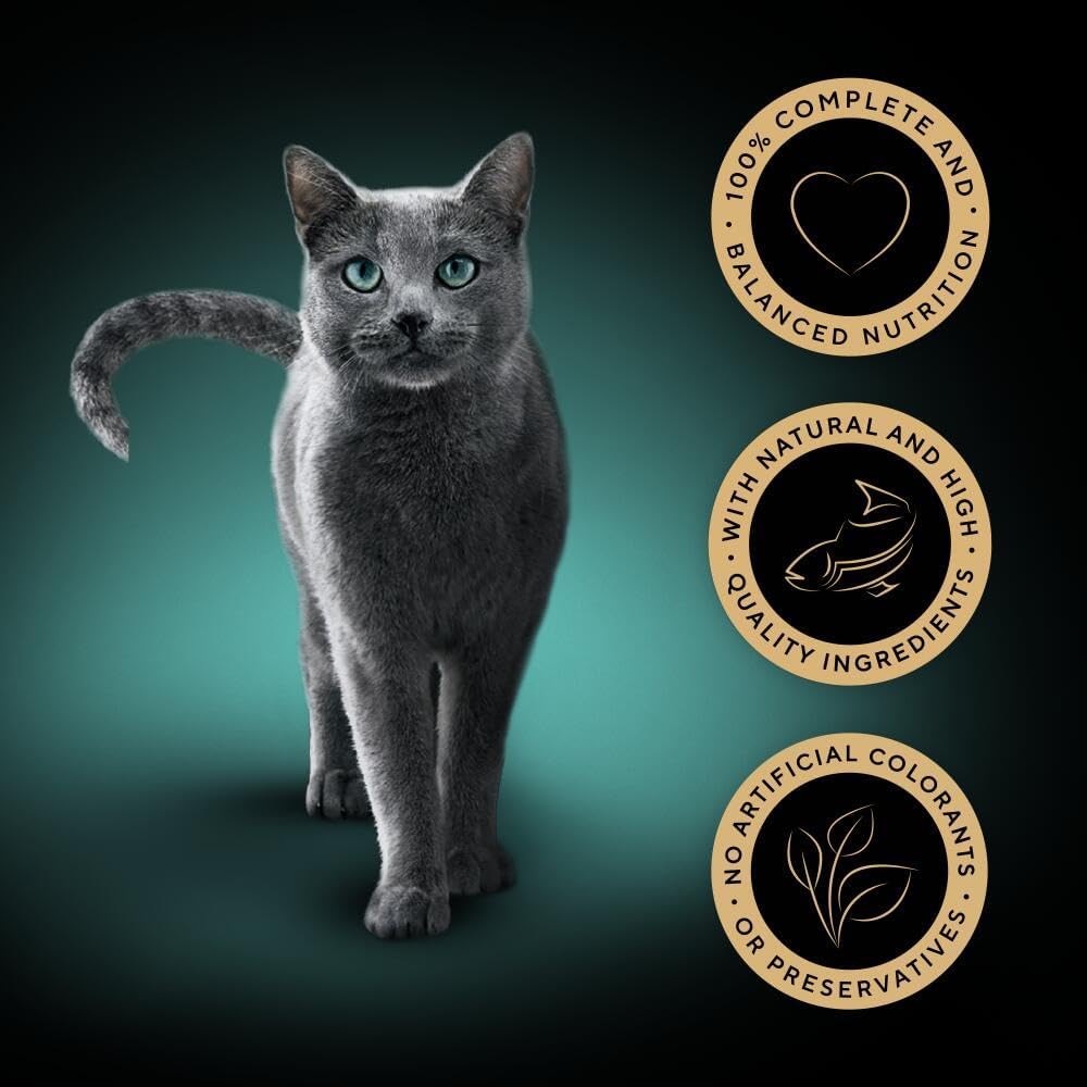 SHEBA - Adult Wet Cat Food Pouches - 40 x 85 g - Fish - Bulk Cat Food Megapack - 40 Jelly Pouches