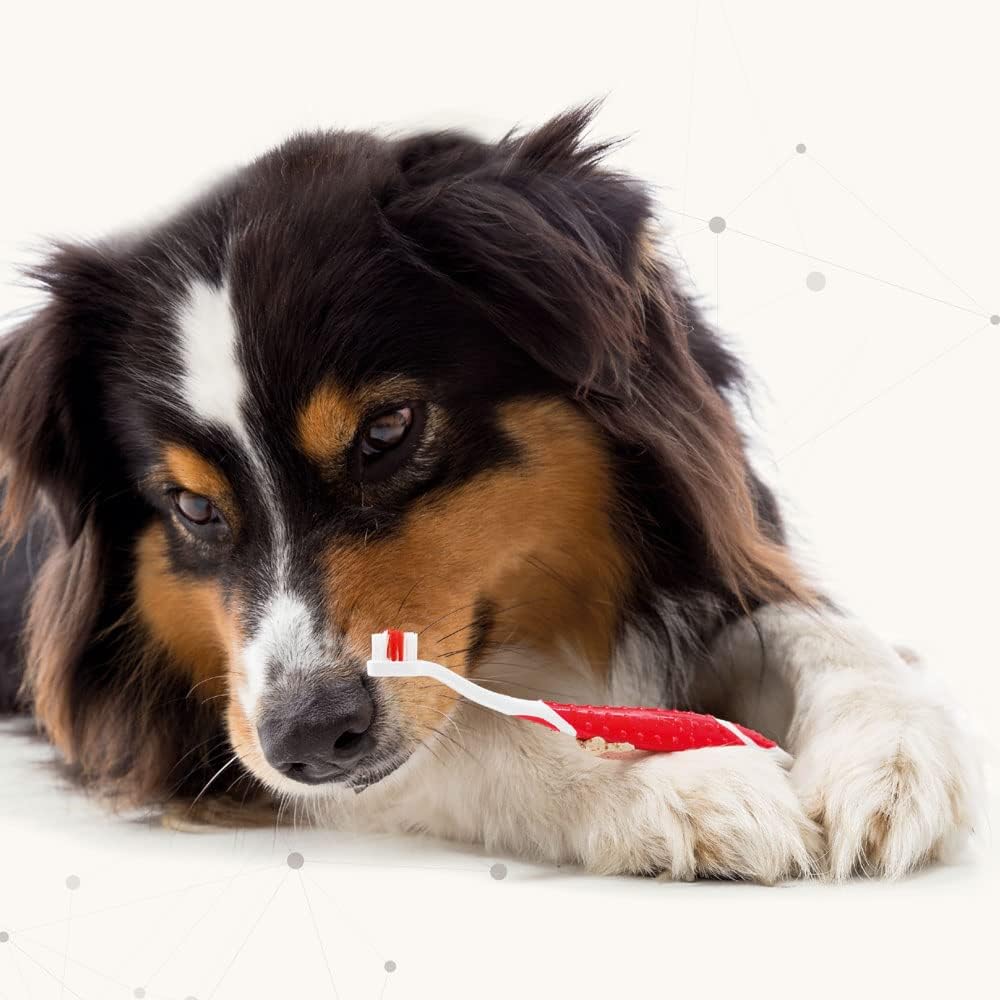 Beaphar - Advanced Dual-Enzyme Toothpaste - Dental Care for Dogs and Cats - Helps Prevent Bad Breath and Combat Plaque - Liver-Flavoured -100g Tube