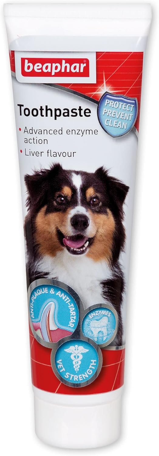 Beaphar - Advanced Dual-Enzyme Toothpaste - Dental Care for Dogs and Cats - Helps Prevent Bad Breath and Combat Plaque - Liver-Flavoured -100g Tube