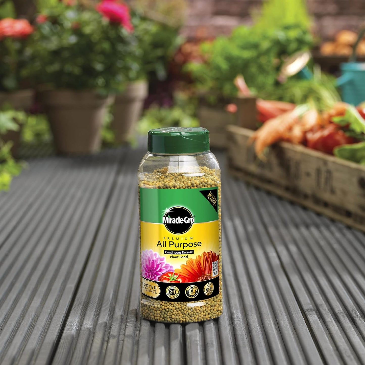 Miracle-Gro Continuous Release All Purpose Plant Food, 900G, White
