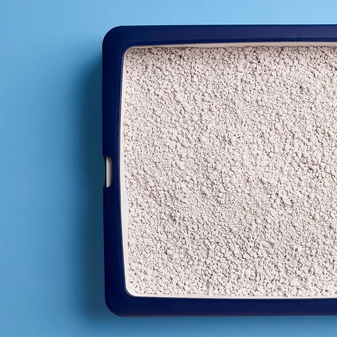 CATSAN Hygiene Cat Litter | 20L