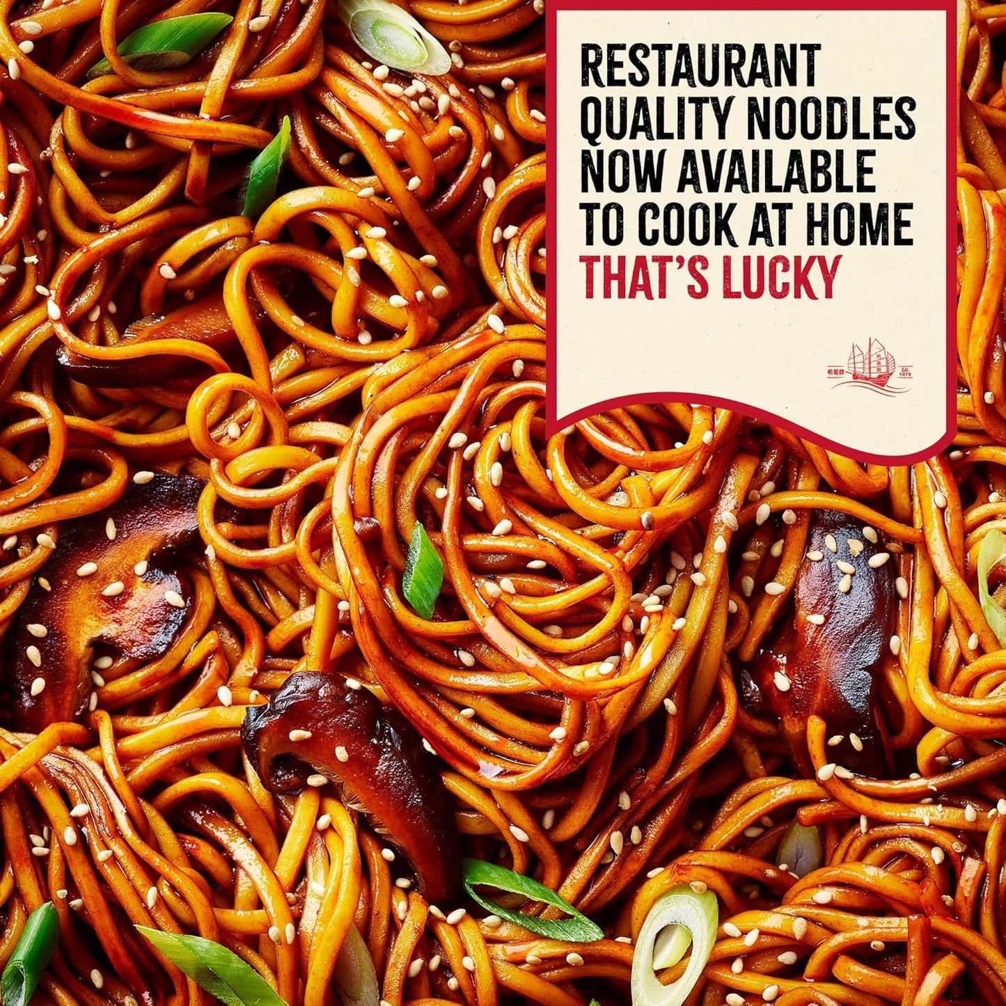LUCKY BOAT Thick Chow Mein Noodles | 1 x 350g